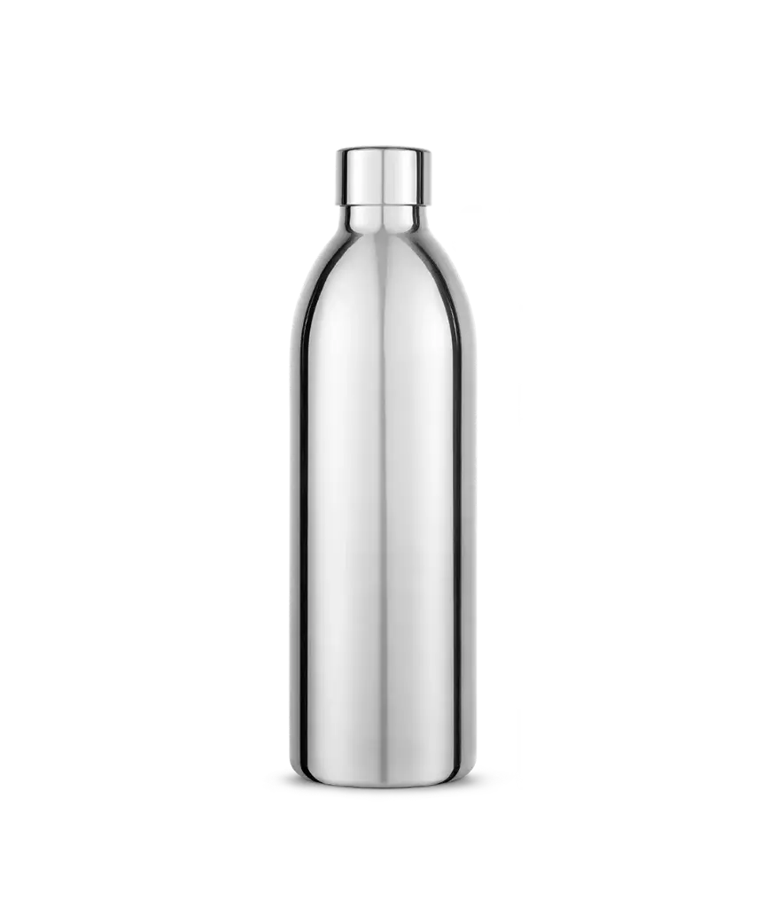 Stainless Steel Bottle