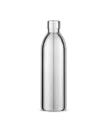Stainless Steel Bottle