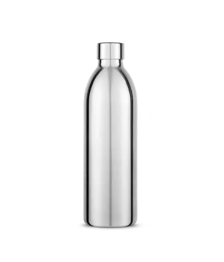 Stainless Steel Bottle